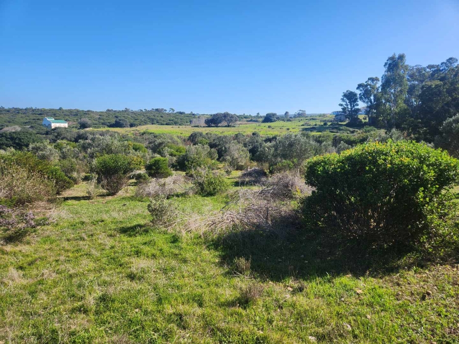 3 Bedroom Property for Sale in Stilbaai Western Cape